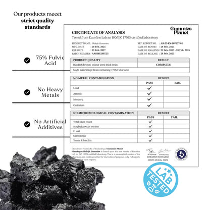Shilajit Gummies – Male Natural Energy & Vitality Booster